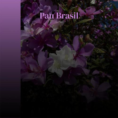 Pau Brasil