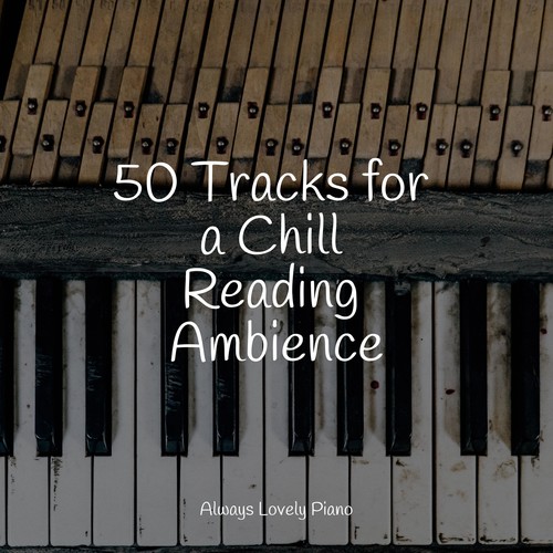 50 Tracks for a Chill Reading Ambience