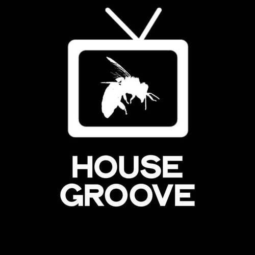 House Groove (The Best Selection House Beat 2020)