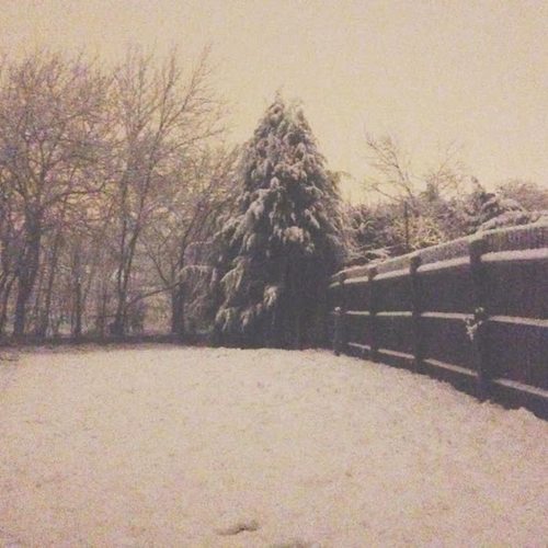 Winter Wonderland (Explicit)