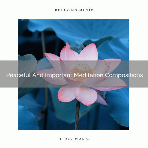 Peaceful And Important Meditation Compositions