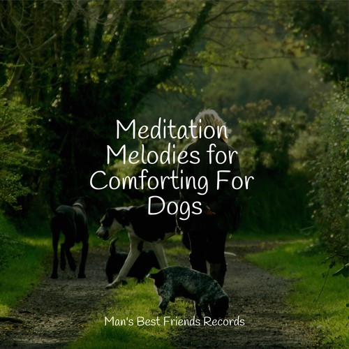 Meditation Melodies for Comforting For Dogs