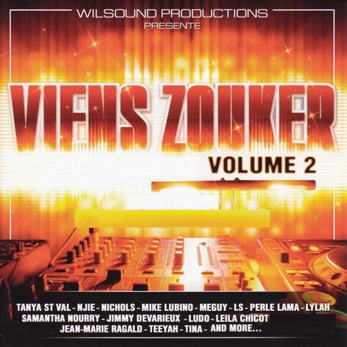 Viens zouker (Vol. 2 mixed by DJ Wilson)