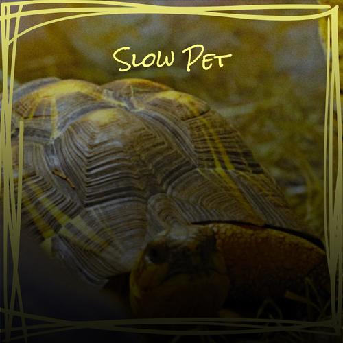 Slow Pet