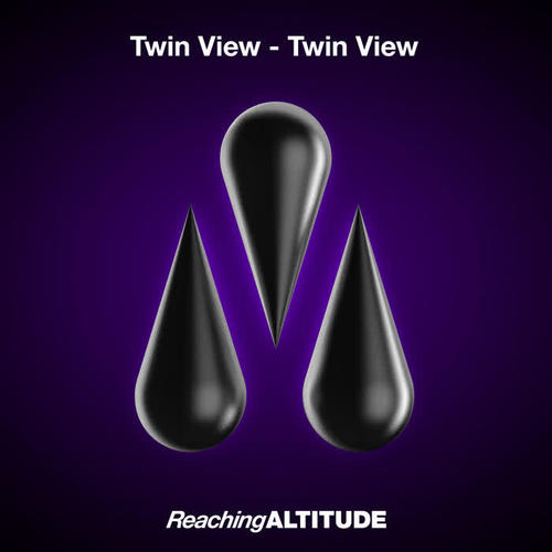 Twin View