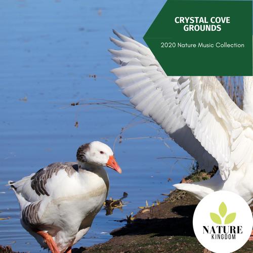 Crystal Cove Grounds - 2020 Nature Music Collection