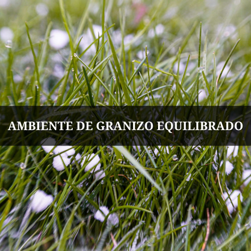 Ambiente De Granizo Equilibrado