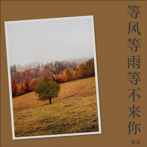 等风等雨等不来你