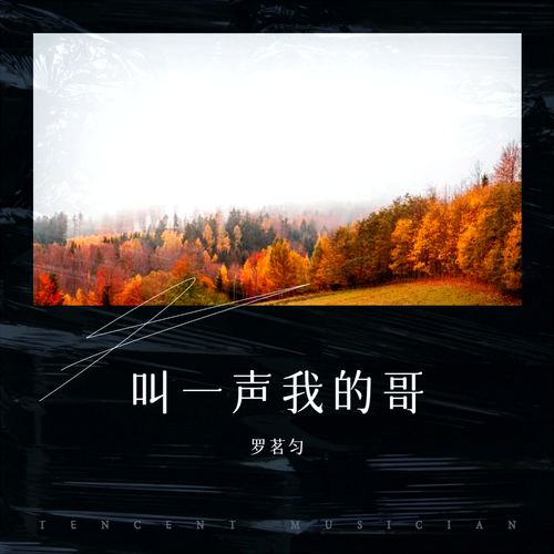 叫一声我的哥