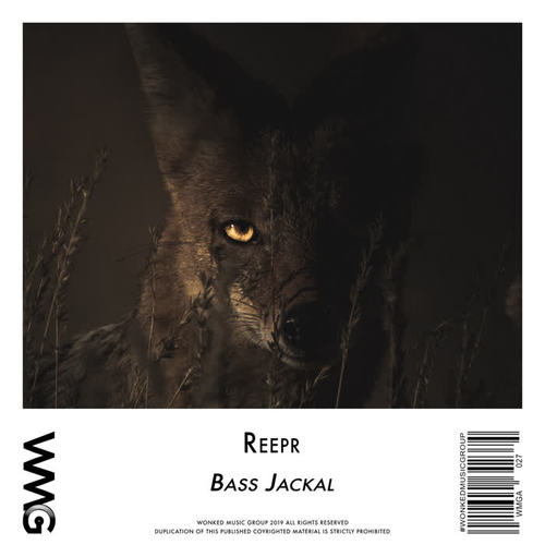 The Bass Jackal