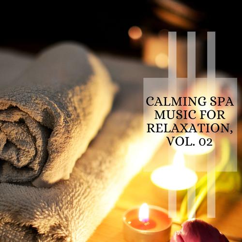 Calming Spa Music For Relaxation, Vol. 02