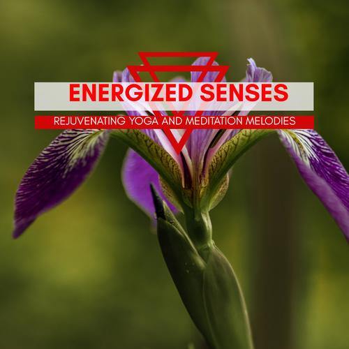 Energized Senses - Rejuvenating Yoga And Meditation Melodies