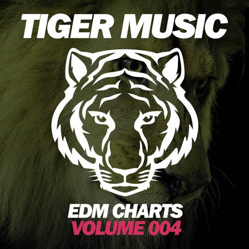 EDM Charts, Vol. 4