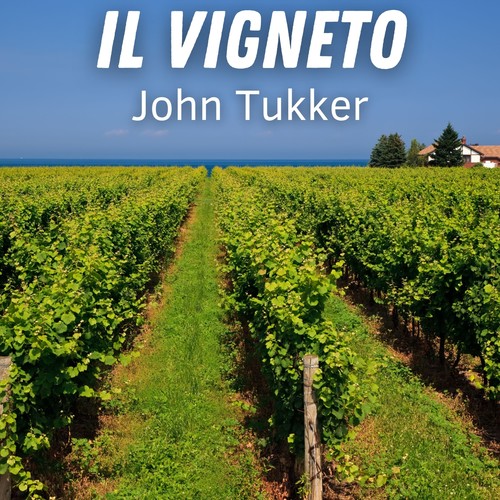 Il Vigneto