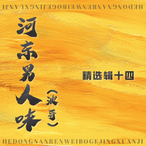 河东男人味 (波哥)精选辑十四