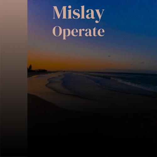 Mislay Operate