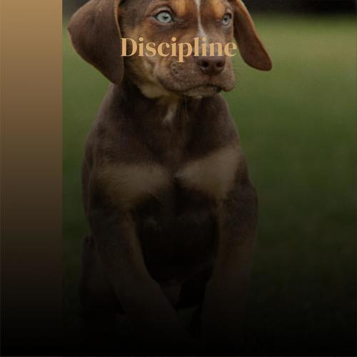 Discipline