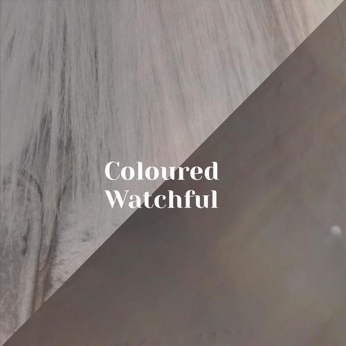 Coloured Watchful