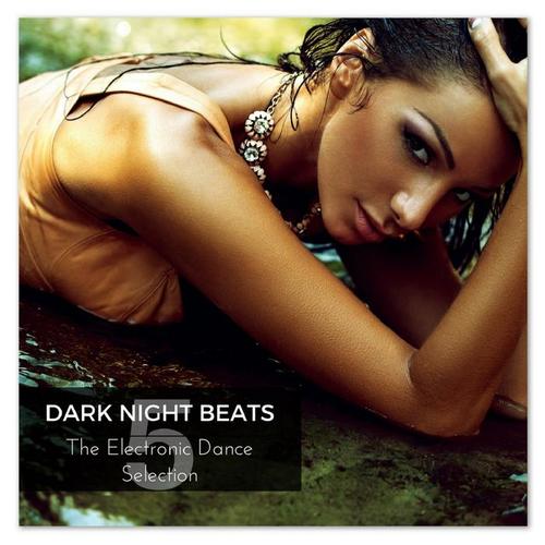 Dark Night Beats 5 - Progressive House Selection