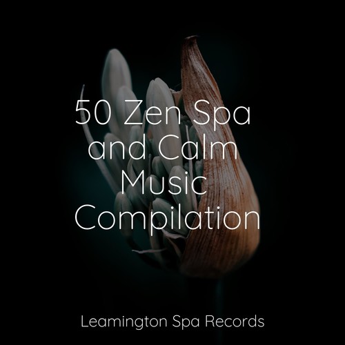 50 Zen Spa and Calm Music Compilation