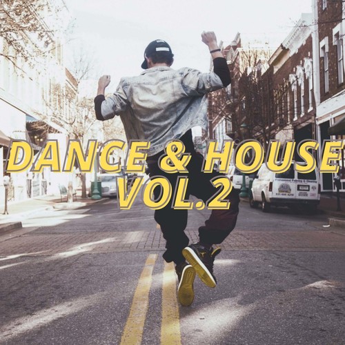 Dance & House Vol.2