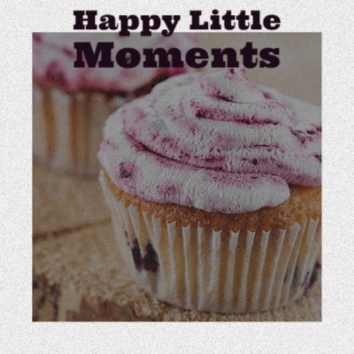 Happy Little Moments