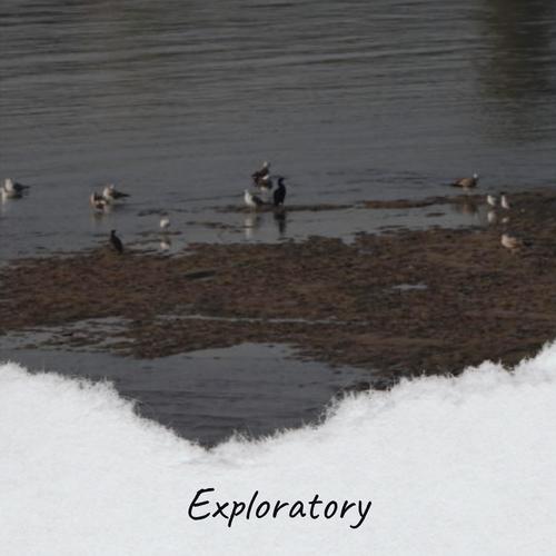 Exploratory