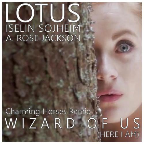 Wizard of Us (Remixes 2016)