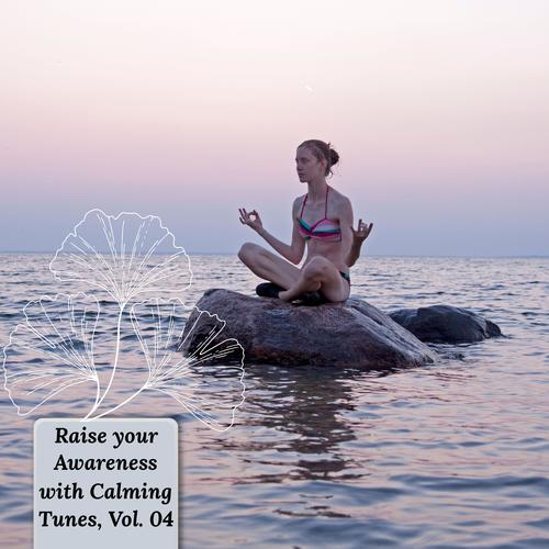 Raise Your Awareness With Calming Tunes, Vol. 04