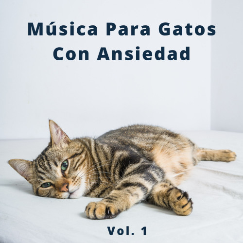 4 Patas Música Para Gatos Con Ansiedad Vol. 1