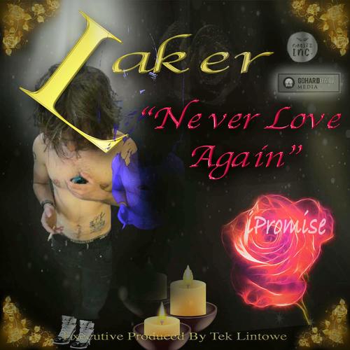 Never Love Again (feat. Laker)