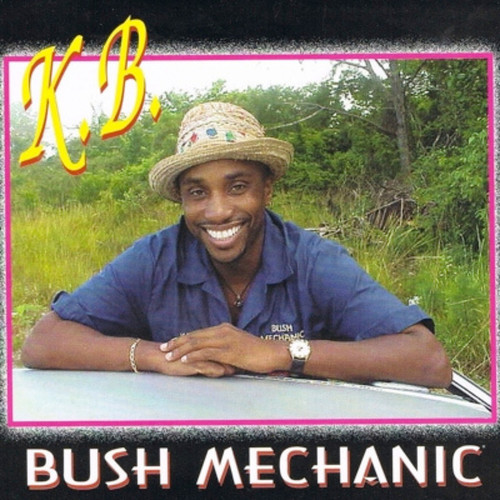 Bush Mechanic