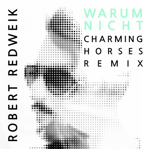 Warum nicht (Charming Horses Remix)