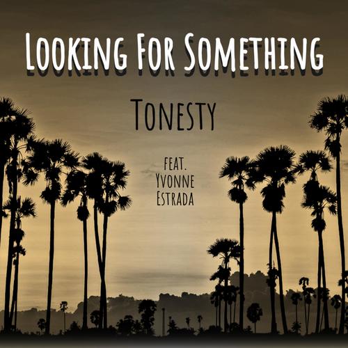 Looking For Something