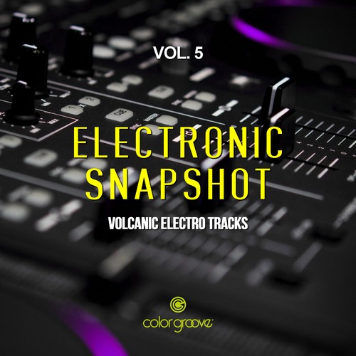 Electronic Snapshot, Vol. 5 (Volcanic Electro Tracks)