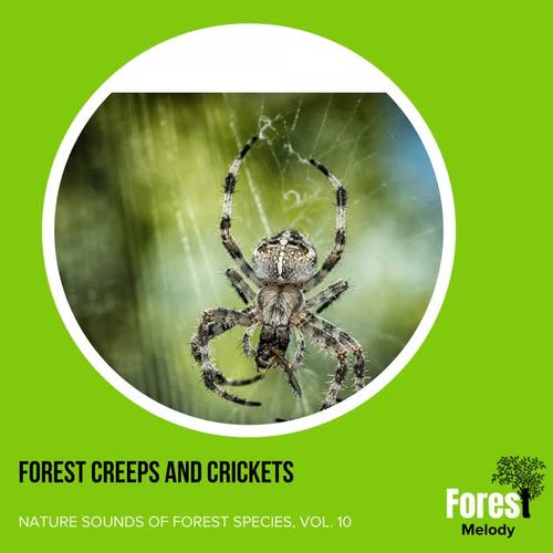Forest Creeps and Crickets - Nature Sounds of Forest Species, Vol. 10