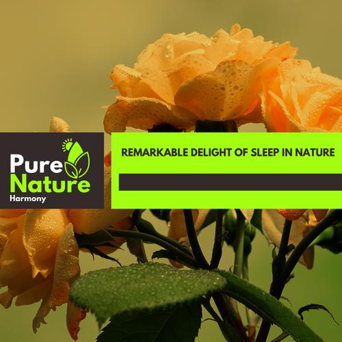 Remarkable Delight of Sleep in Nature