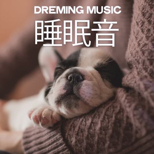 Dreaming Music (睡眠音)