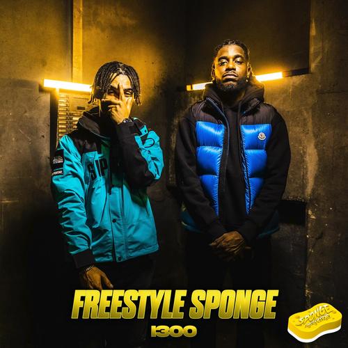 Freestyle Sponge (No Hook #2) [Explicit]
