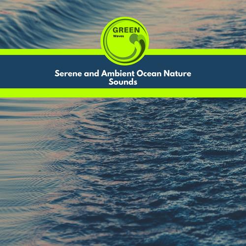 Serene and Ambient Ocean Nature Sounds