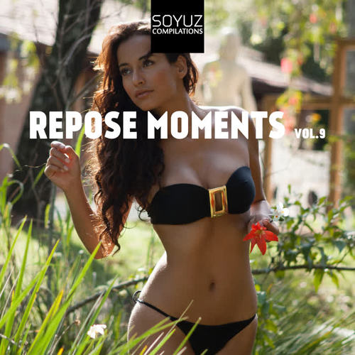 Repose Moments, Vol. 9