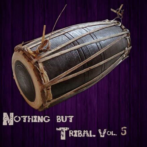 Nothing But Tribal, Vol. 5