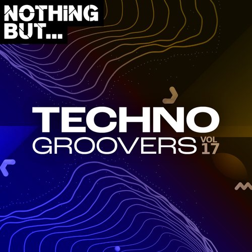 Nothing But... Techno Groovers, Vol. 17 (Explicit)