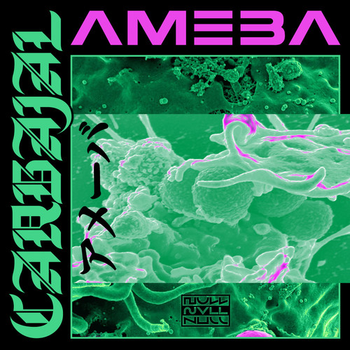 Ameba