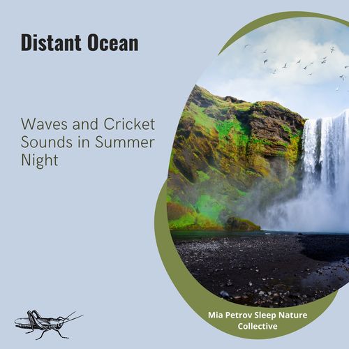 Distant Ocean Waves and Cricket Sounds in Summer Night