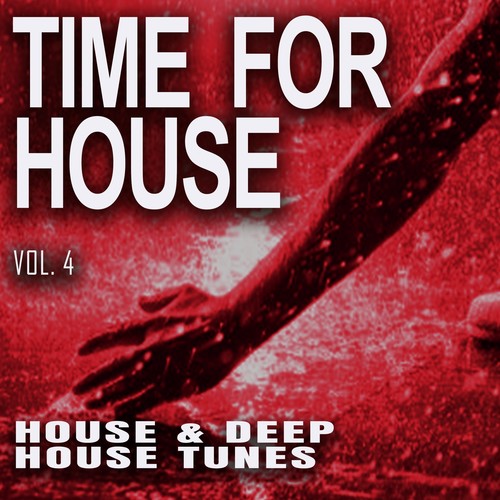 Time for House, Vol. 4