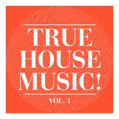 True House Music!, Vol. 1