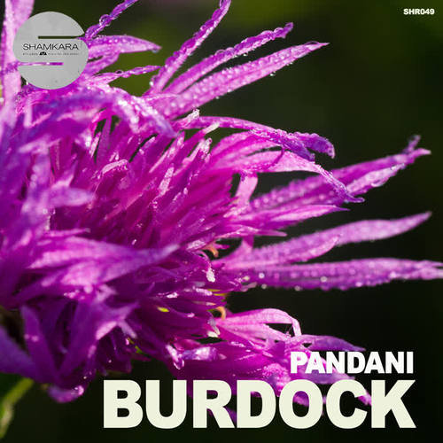 Burdock