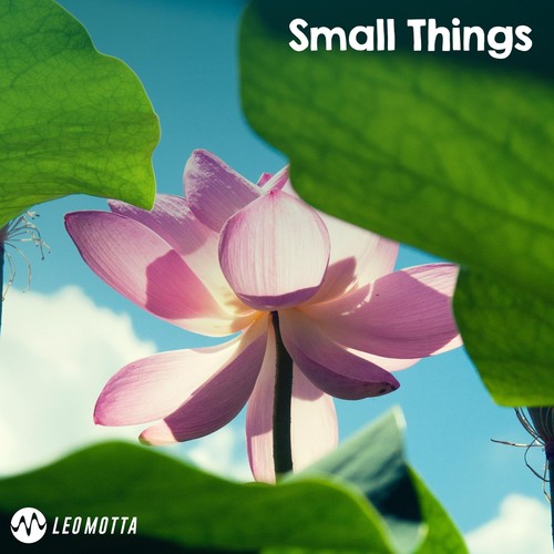 Small Things