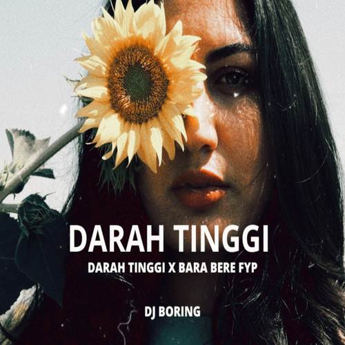 DJ DARAH TINGGI x BARA BERE FYP